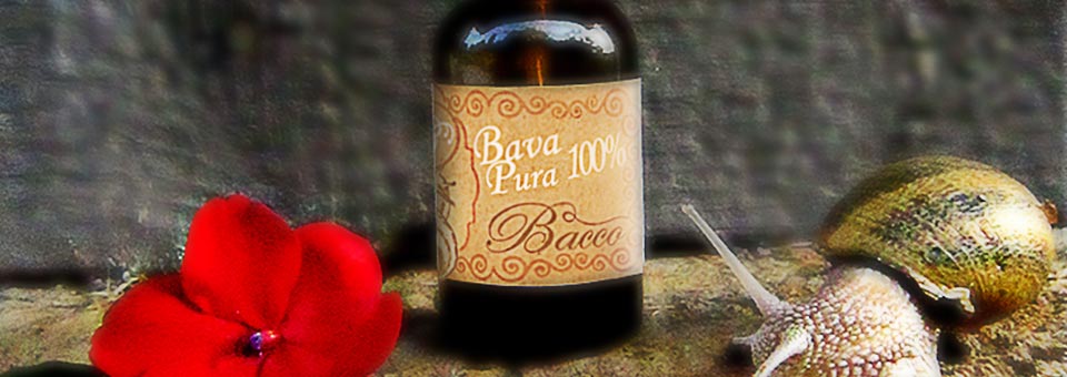 Bava Pura 100%